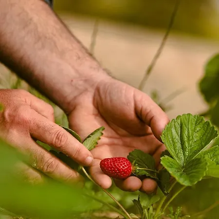 Agroturismo Rural Xereca *
