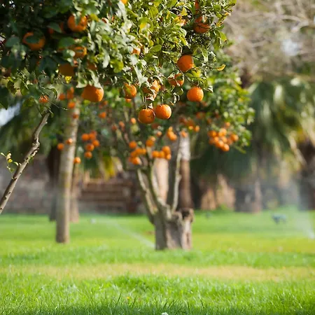 Agroturismo Rural Xereca Nuestra Señora de Jesús